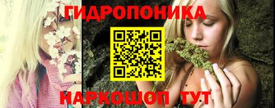 прущие грибы Кимры